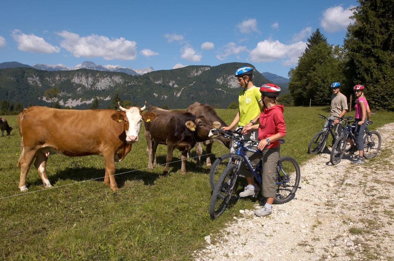 Bohinj Eco Hotel Bohinjska Bistrica Dış mekan fotoğraf
