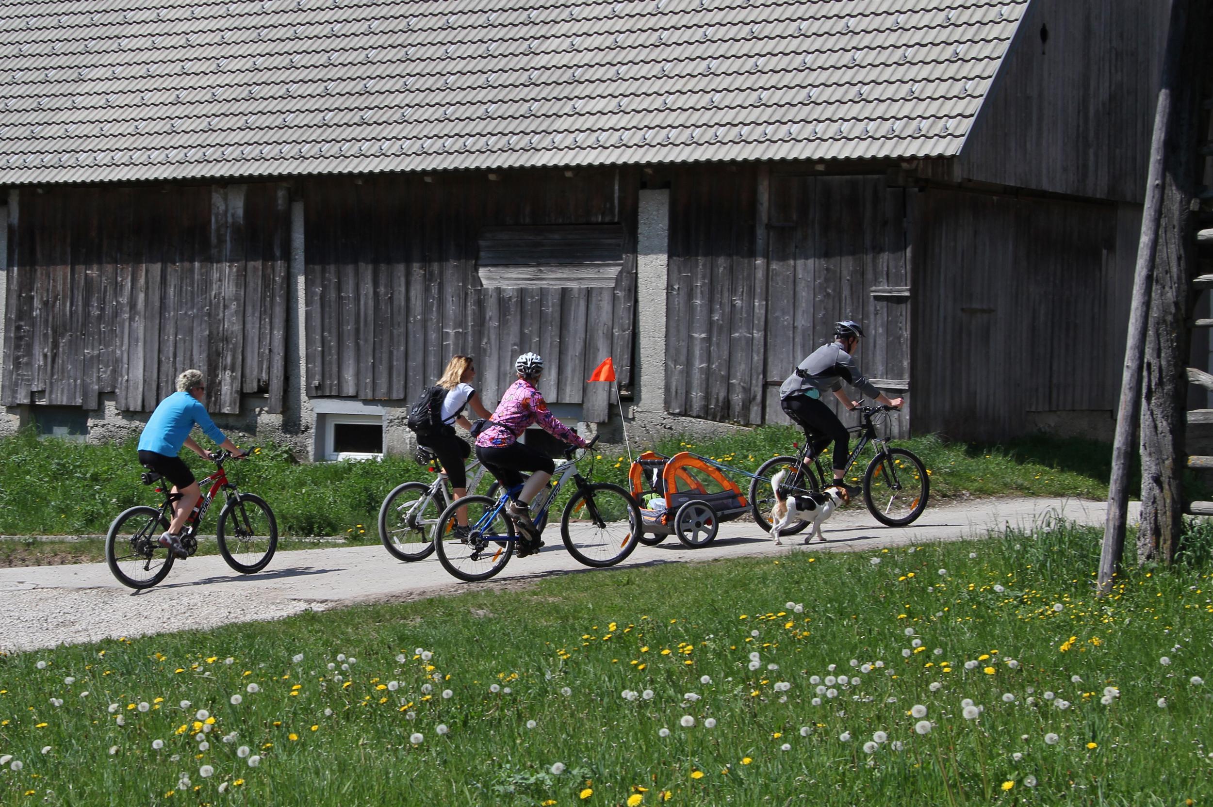 Bohinj Eco Hotel Bohinjska Bistrica Dış mekan fotoğraf