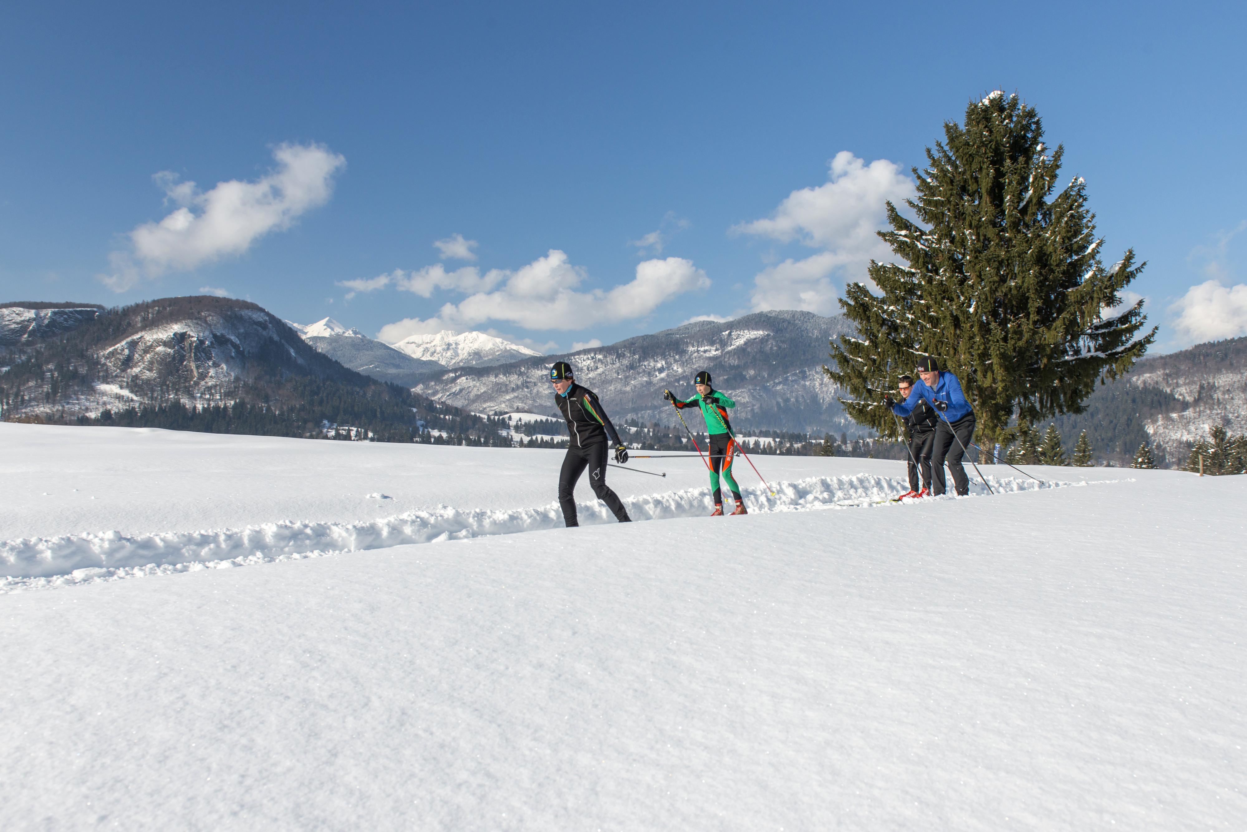Bohinj Eco Hotel Bohinjska Bistrica Dış mekan fotoğraf
