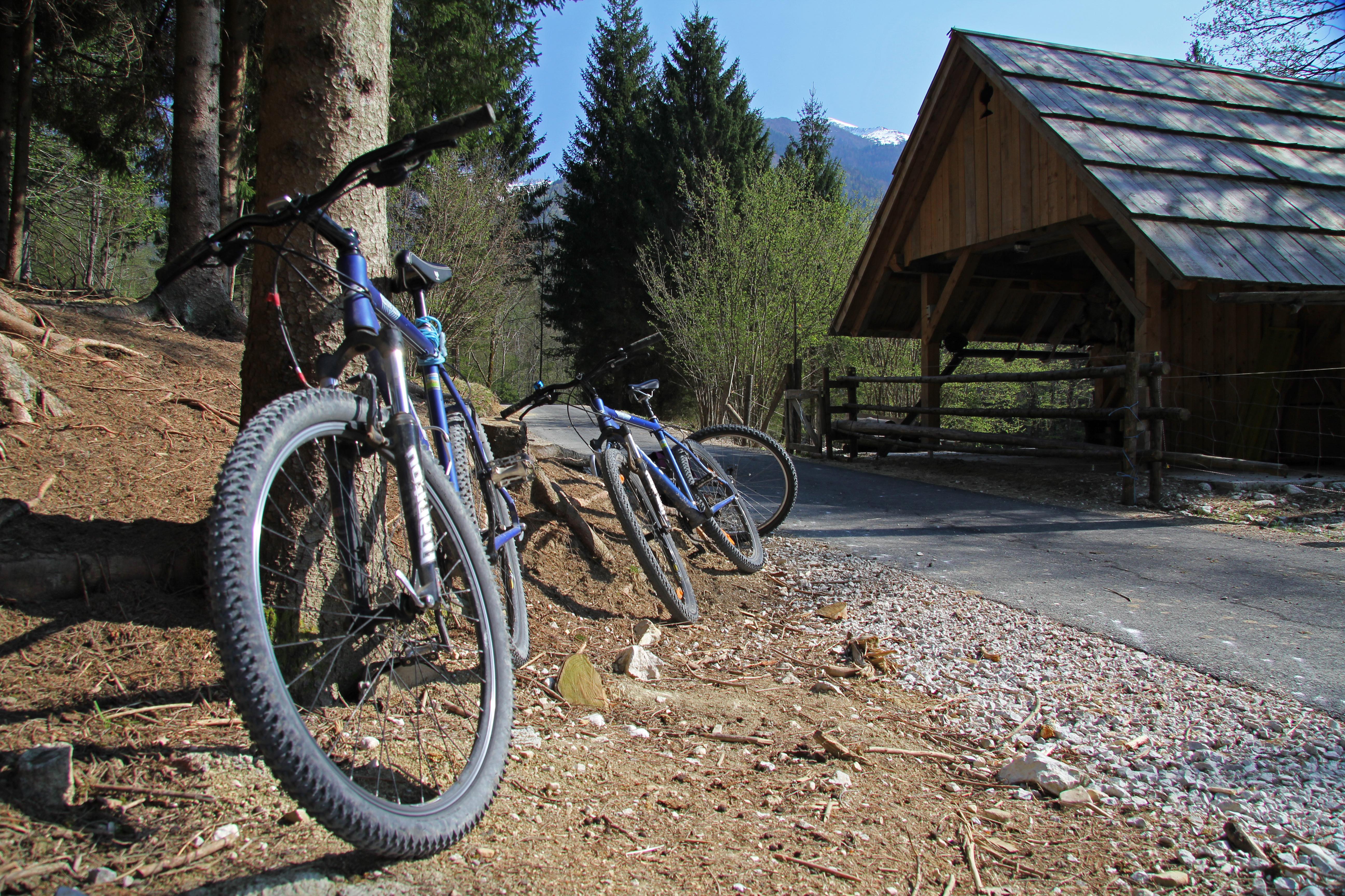 Bohinj Eco Hotel Bohinjska Bistrica Dış mekan fotoğraf